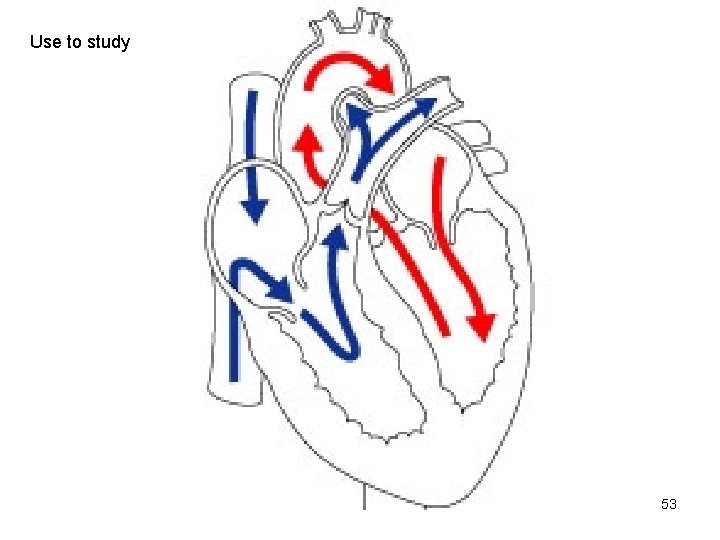 Use to study 53  Use to study 53