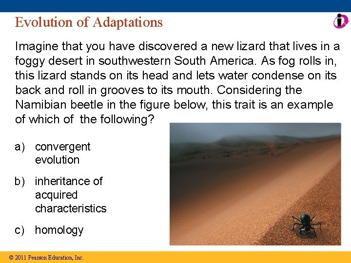 Evolution of Adaptations Imagine that you have discovered a new lizard that lives in