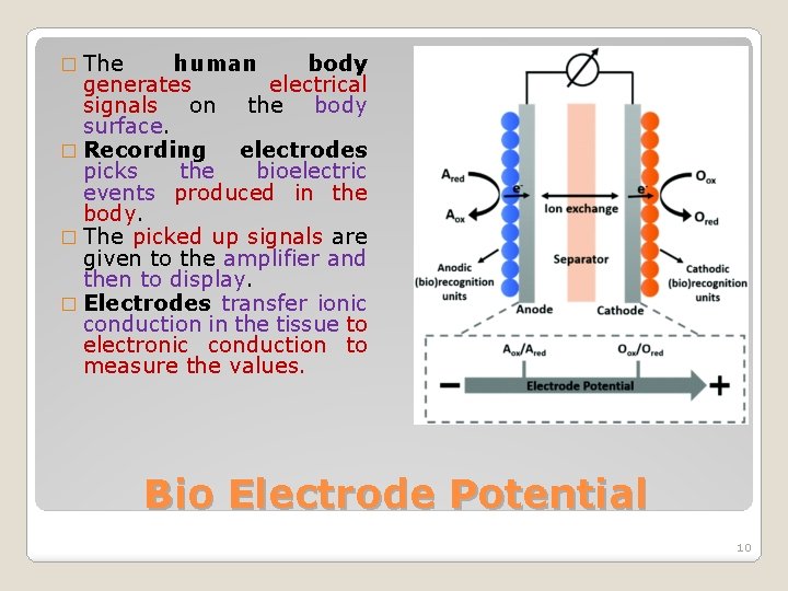 � The human body generates electrical signals on the body surface. � Recording electrodes