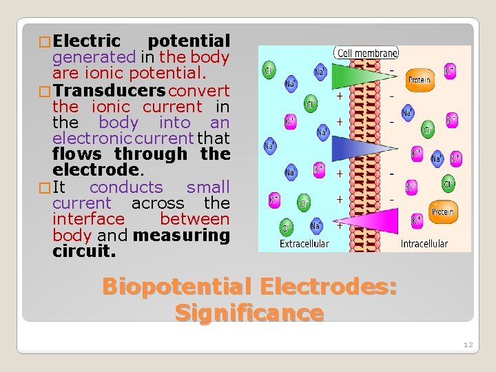 � Electric potential generated in the body are ionic potential. � Transducers convert the