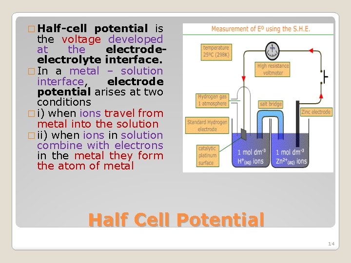 � Half-cell potential is the voltage developed at the electrodeelectrolyte interface. � In a