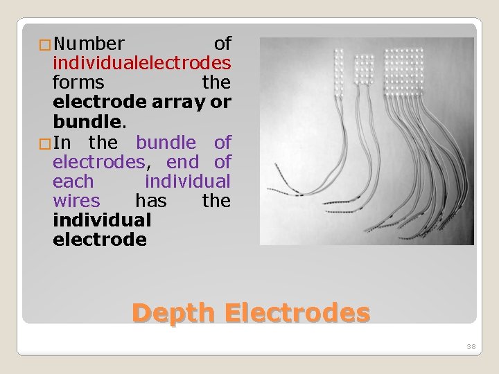 �Number of individualelectrodes forms the electrode array or bundle. �In the bundle of electrodes,