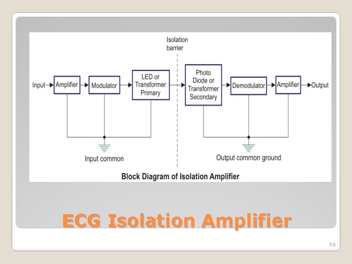 ECG Isolation Amplifier 58 