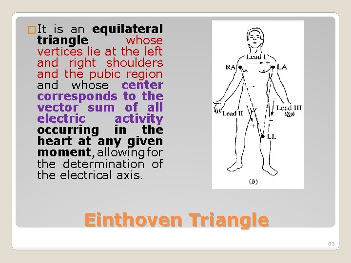 � It is an equilateral triangle whose vertices lie at the left and right