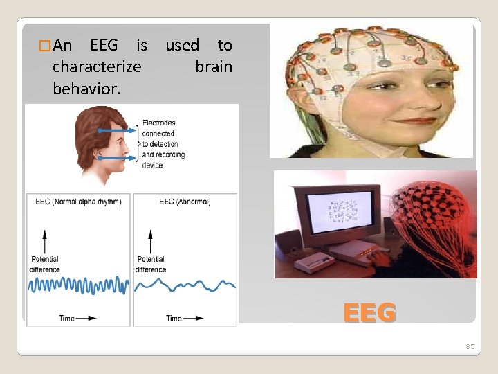 �An EEG is used to characterize brain behavior. EEG 85 