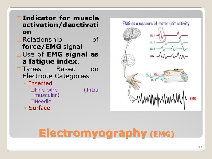 � Indicator for muscle activation/deactivati on � Relationship of force/EMG signal � Use of