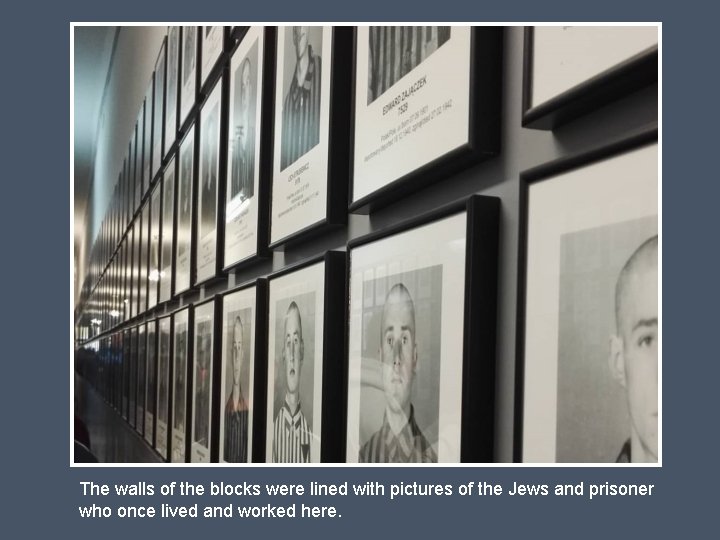 The walls of the blocks were lined with pictures of the Jews and prisoner