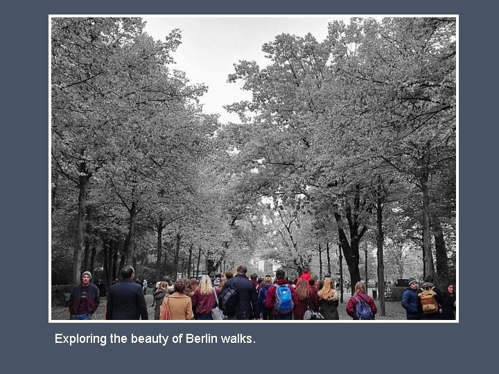 Exploring the beauty of Berlin walks. 