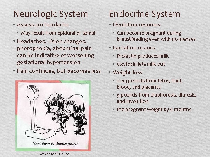 Neurologic System Endocrine System • Assess c/o headache • Ovulation resumes • May result