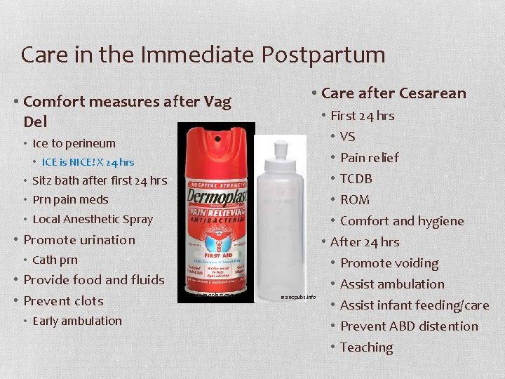 Care in the Immediate Postpartum • Comfort measures after Vag Del • Care after