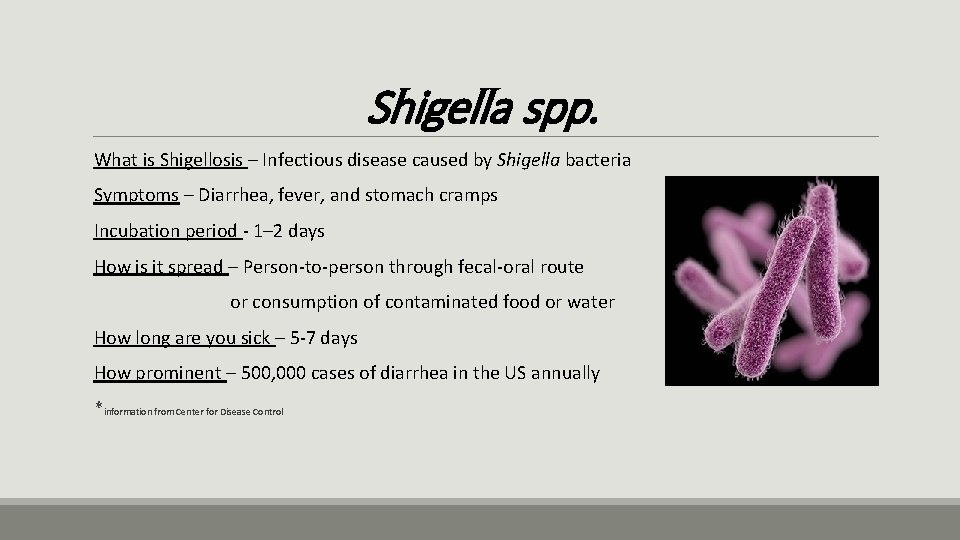 Shigella spp. What is Shigellosis – Infectious disease caused by Shigella bacteria Symptoms –