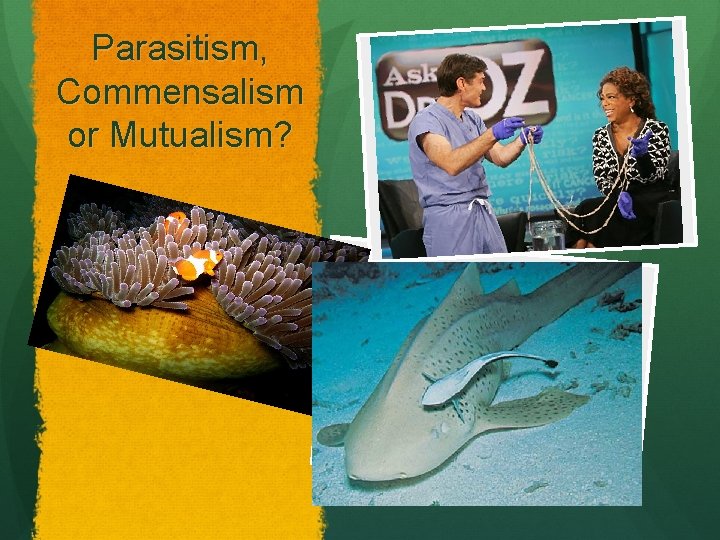 Parasitism, Commensalism or Mutualism? 