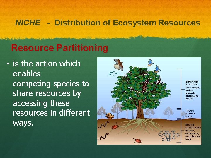 NICHE - Distribution of Ecosystem Resources Resource Partitioning • is the action which enables