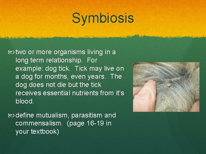 Symbiosis two or more organisms living in a long term relationship. For example: dog