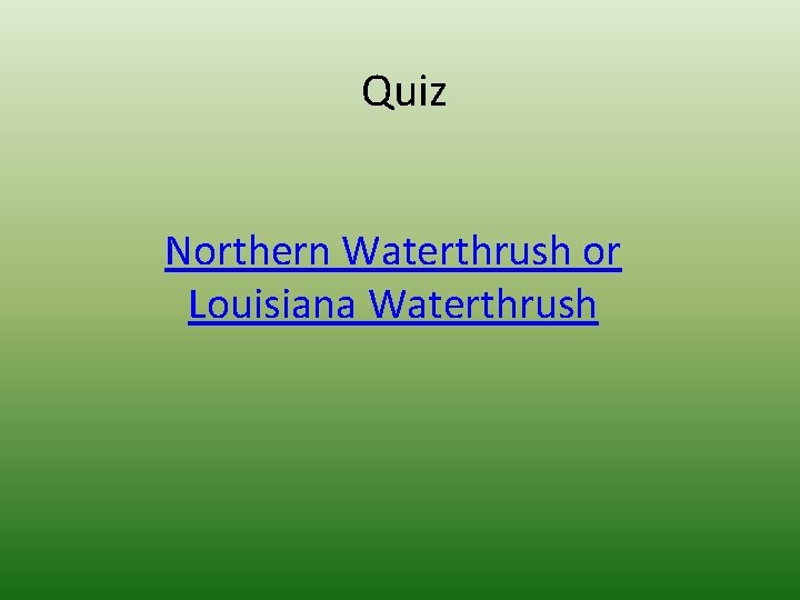 Quiz Northern Waterthrush or Louisiana Waterthrush 
