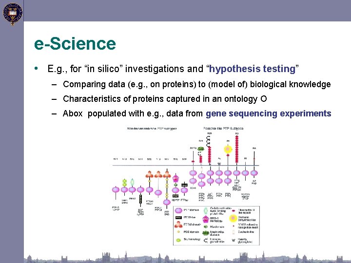 e-Science • E. g. , for “in silico” investigations and “hypothesis testing” – Comparing