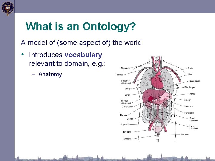 What is an Ontology? A model of (some aspect of) the world • Introduces