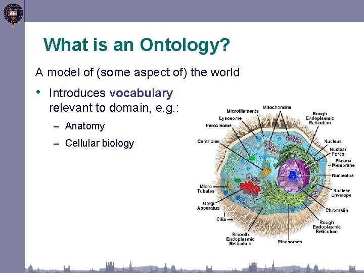 What is an Ontology? A model of (some aspect of) the world • Introduces