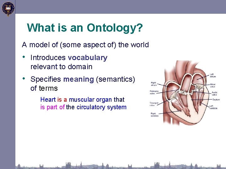 What is an Ontology? A model of (some aspect of) the world • Introduces