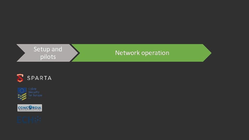 Setup and pilots Network operation 