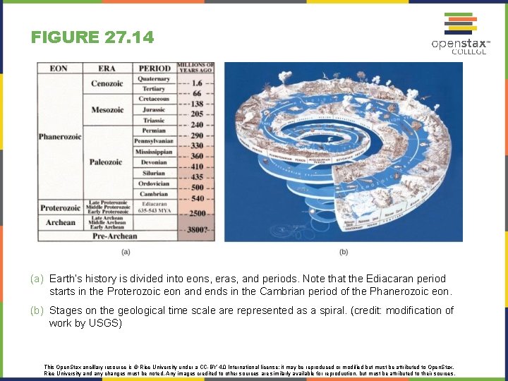 FIGURE 27. 14 (a) Earth’s history is divided into eons, eras, and periods. Note
