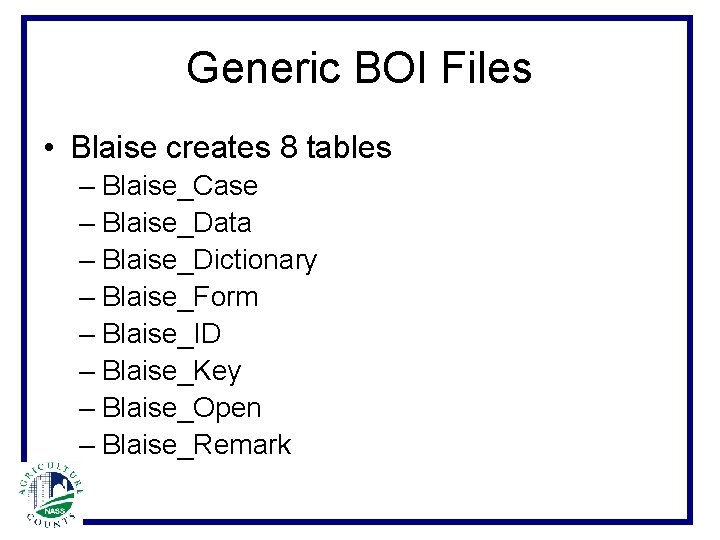 Generic BOI Files • Blaise creates 8 tables – Blaise_Case – Blaise_Data – Blaise_Dictionary