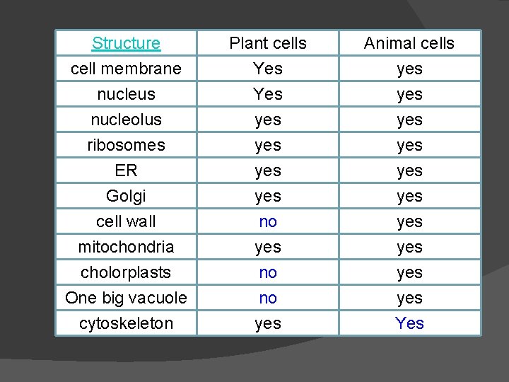 Structure cell membrane nucleus nucleolus Plant cells Yes yes Animal cells yes yes ribosomes