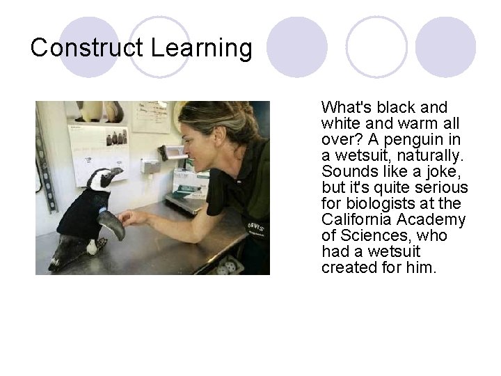Construct Learning What's black and white and warm all over? A penguin in a