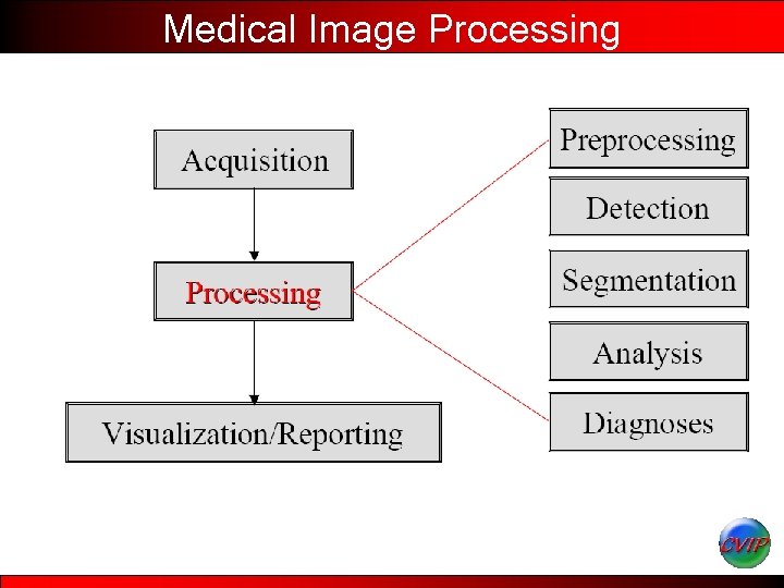 Medical Image Processing 
