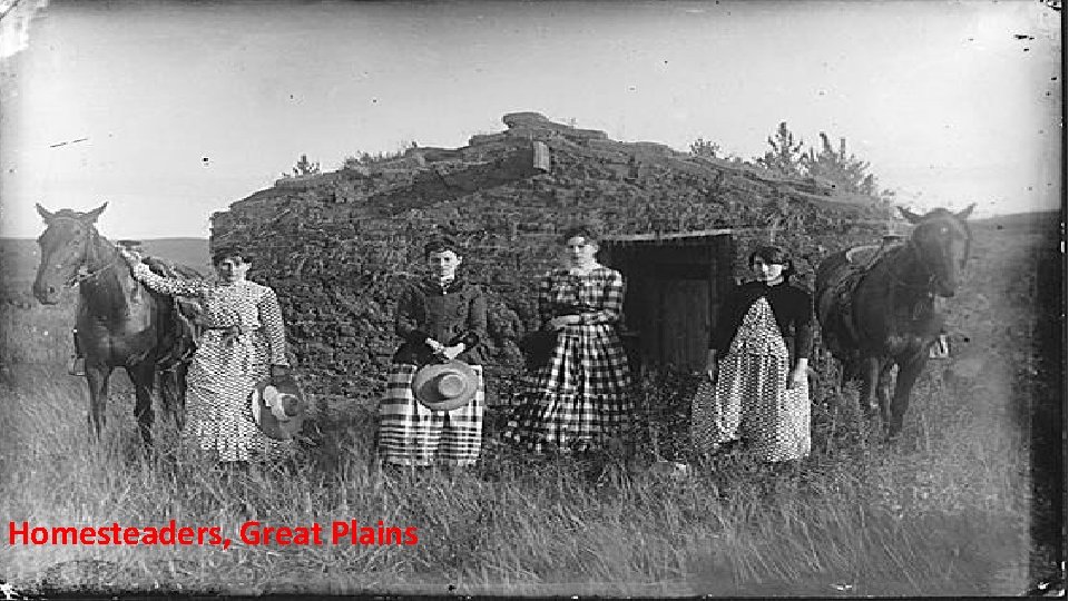 Homesteaders, Great Plains 