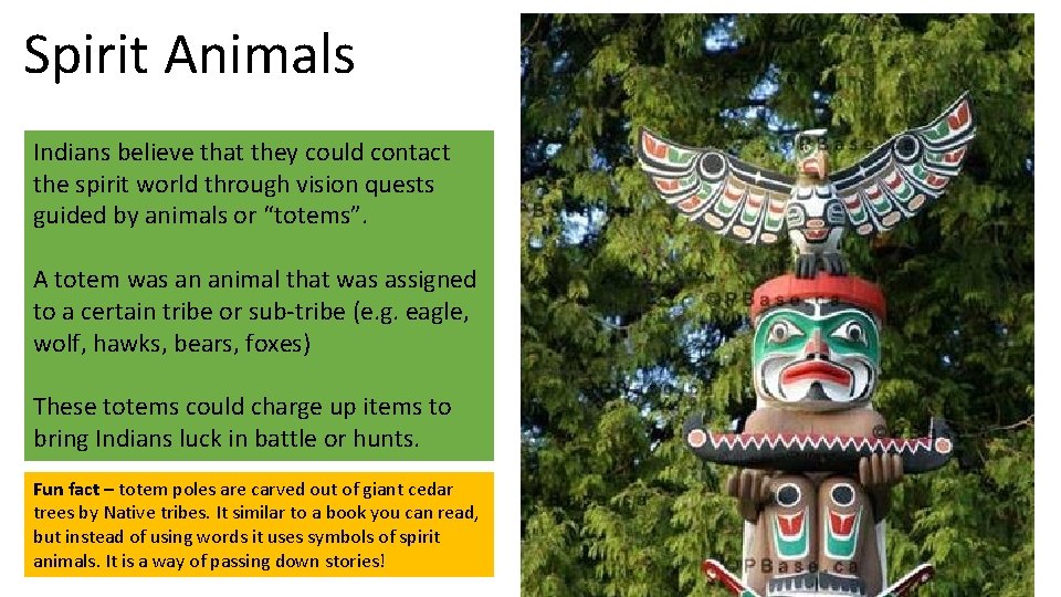 Spirit Animals Indians believe that they could contact the spirit world through vision quests