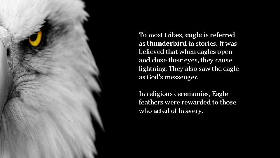 To most tribes, eagle is referred as thunderbird in stories. It was believed that