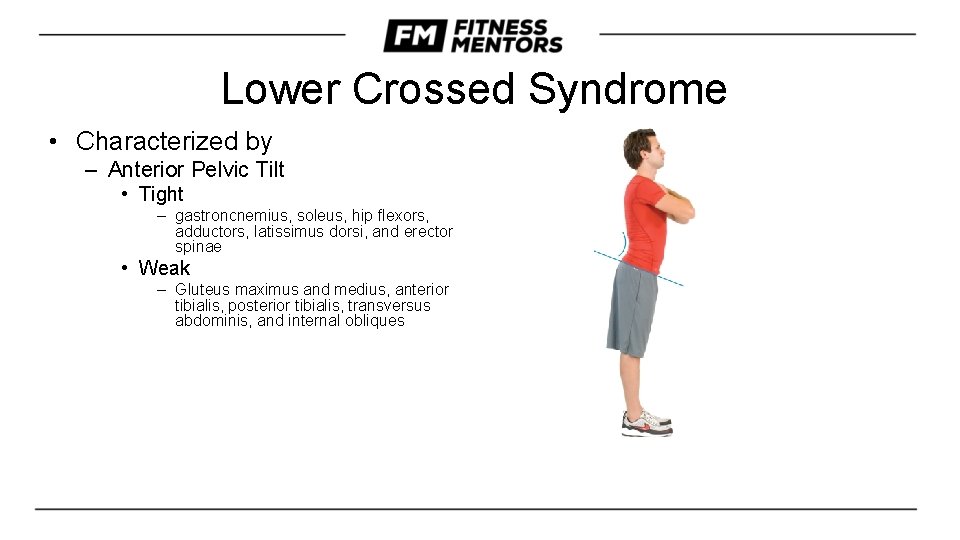 Lower Crossed Syndrome • Characterized by – Anterior Pelvic Tilt • Tight – gastroncnemius,