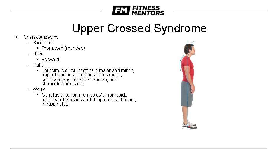  • Upper Crossed Syndrome Characterized by – Shoulders • Protracted (rounded) – Head