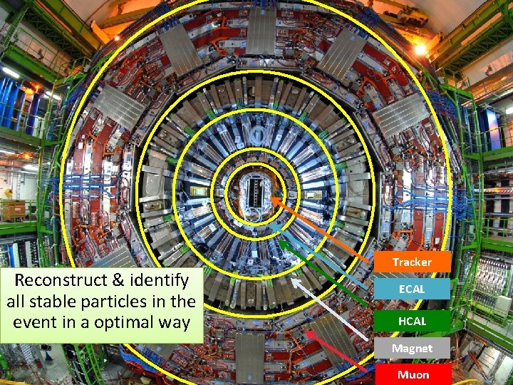 Reconstruct & identify all stable particles in the event in a optimal way Tracker