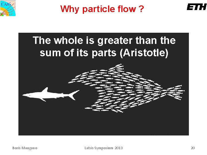 Why particle flow ? The whole is greater than the sum of its parts