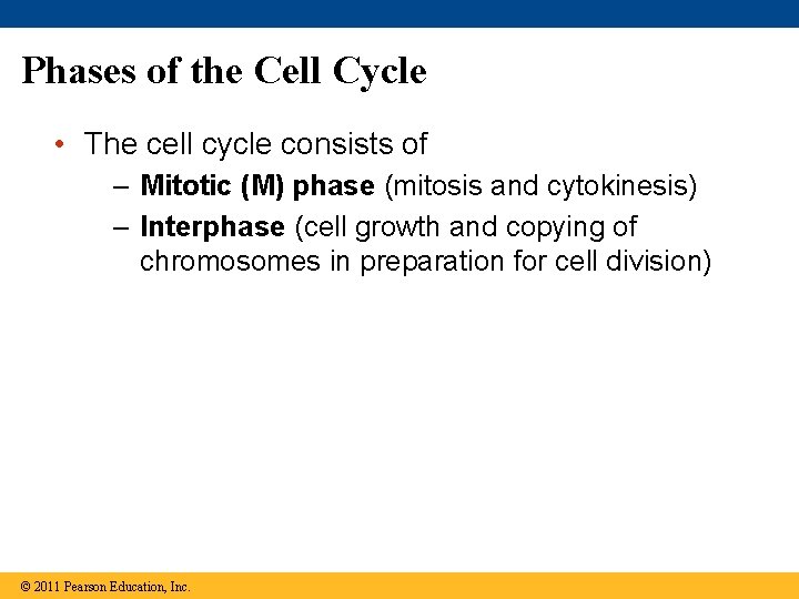 Phases of the Cell Cycle • The cell cycle consists of – Mitotic (M)