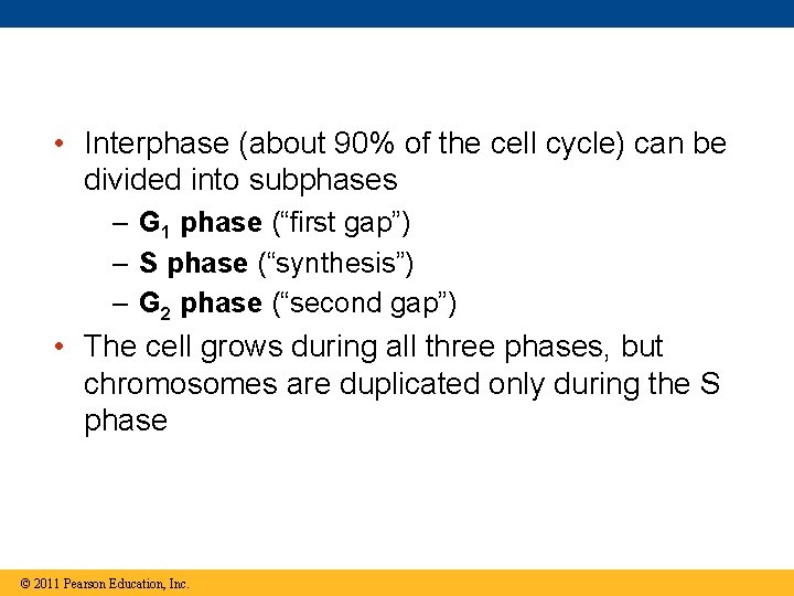  • Interphase (about 90% of the cell cycle) can be divided into subphases