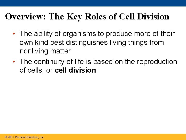 Overview: The Key Roles of Cell Division • The ability of organisms to produce