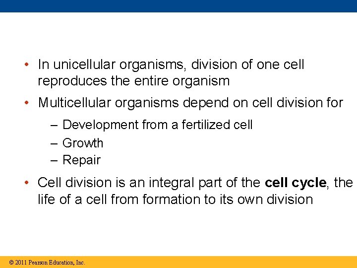  • In unicellular organisms, division of one cell reproduces the entire organism •