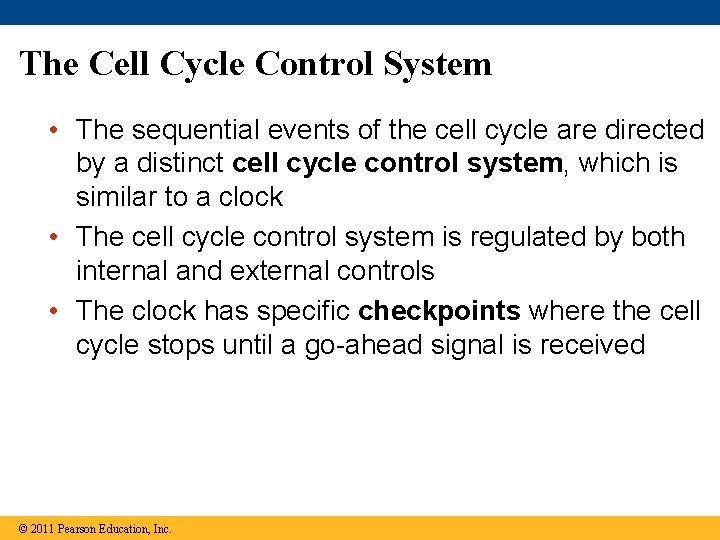 The Cell Cycle Control System • The sequential events of the cell cycle are