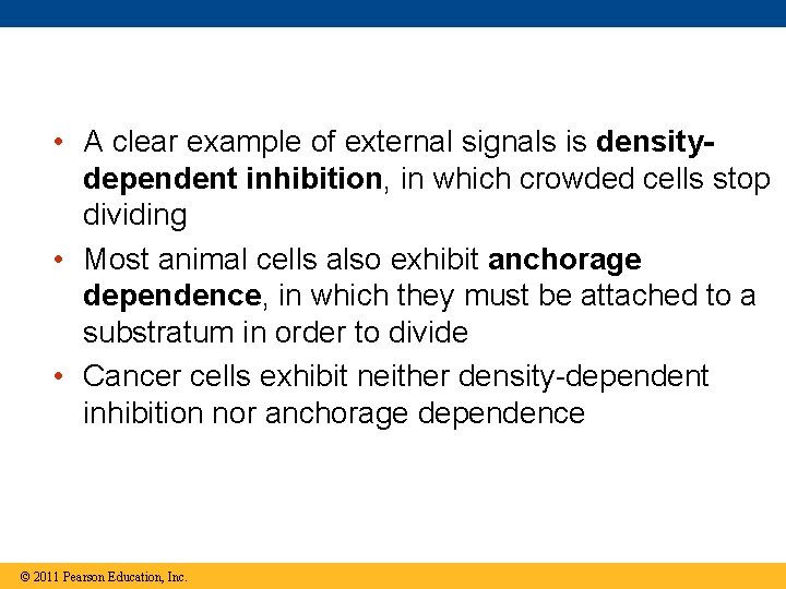  • A clear example of external signals is densitydependent inhibition, in which crowded