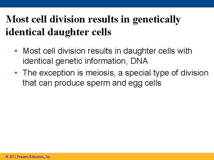 Most cell division results in genetically identical daughter cells • Most cell division results