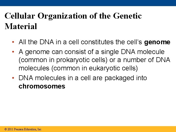 Cellular Organization of the Genetic Material • All the DNA in a cell constitutes