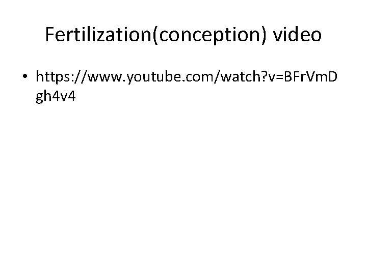 Fertilization(conception) video • https: //www. youtube. com/watch? v=BFr. Vm. D gh 4 v 4