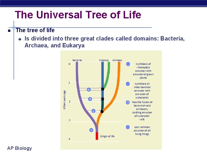 The Universal Tree of Life The tree of life u Is divided into three