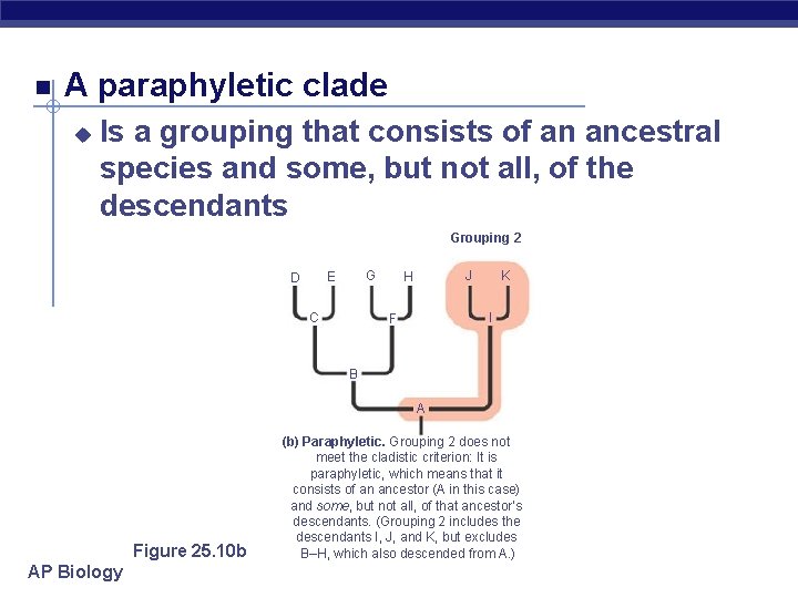  A paraphyletic clade u Is a grouping that consists of an ancestral species