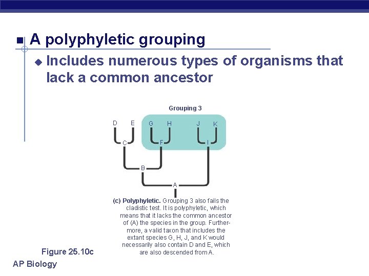  A polyphyletic grouping u Includes numerous types of organisms that lack a common