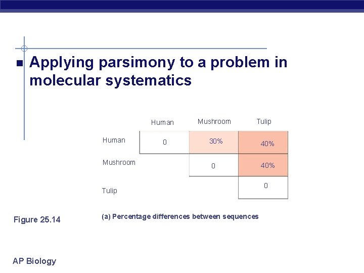  Applying parsimony to a problem in molecular systematics Human Mushroom 0 Mushroom Tulip