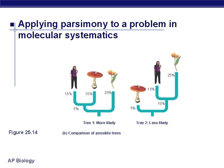  Applying parsimony to a problem in molecular systematics 25% 15% 15% 20% 10%